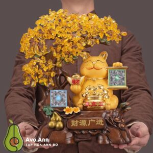 Cay decor hut tai loc