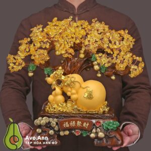 Cay decor hut tai loc