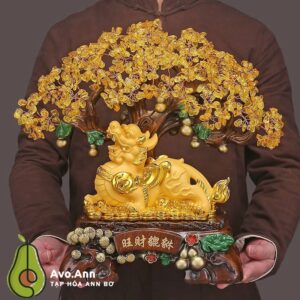 Cay decor hut tai loc