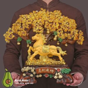 Cay decor hut tai loc