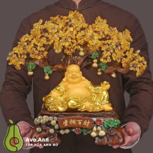 Cay decor hut tai loc