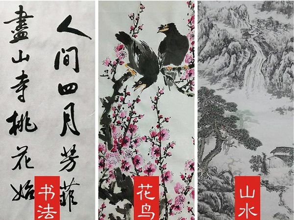 Vỏ cây Thanh Đàn để sản xuất giấy xuyến